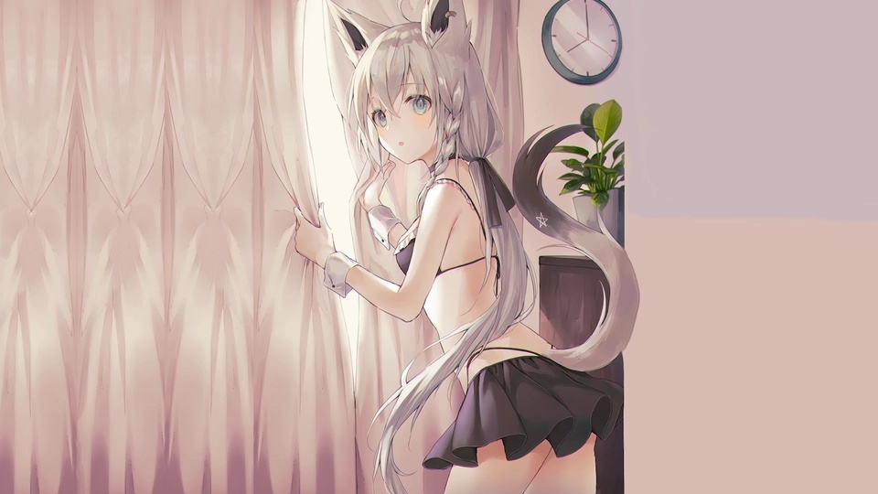 Cute cat girl