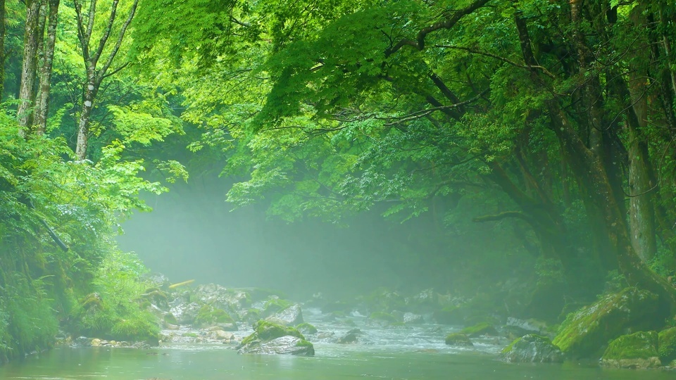 Niebla de transmisión 4K