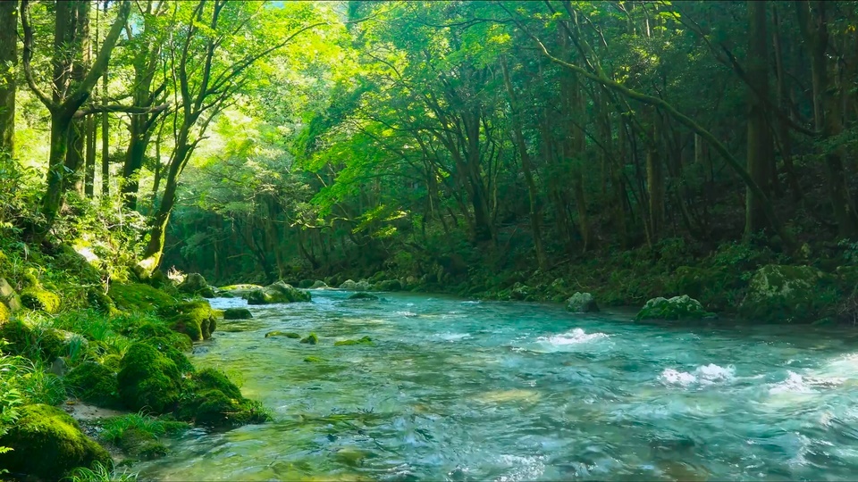 Twilight Mountain Stream