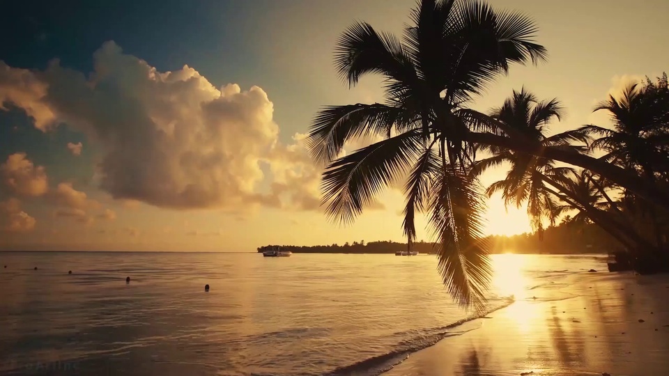 Sunset beach under coconut trees