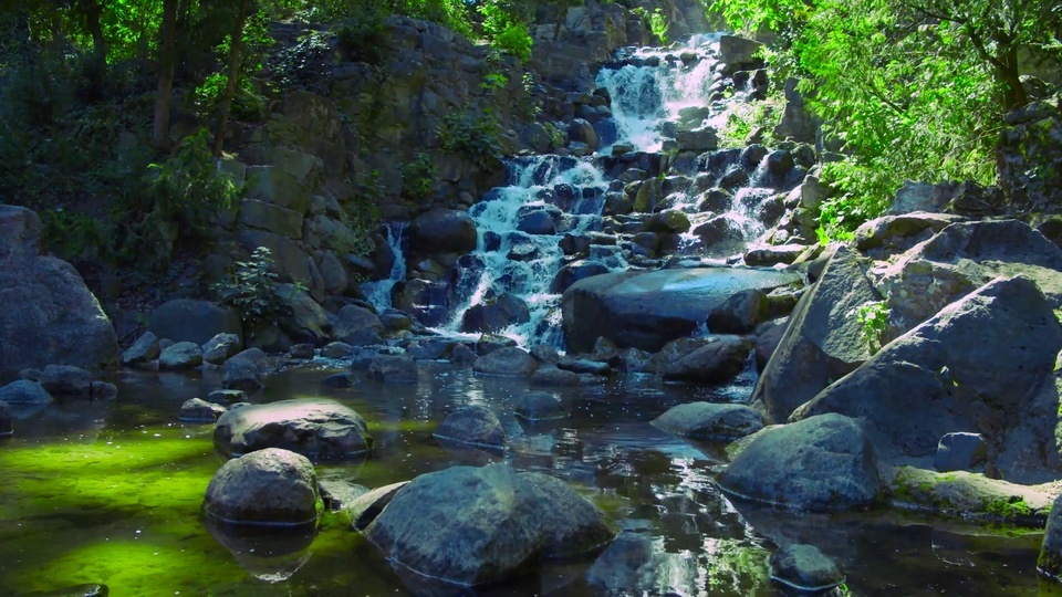 Green forest mountain water