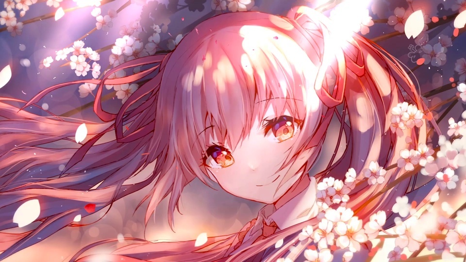 Cherry blossoms falling beautiful girl