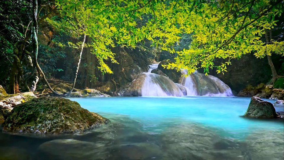 Forest Creek Pool