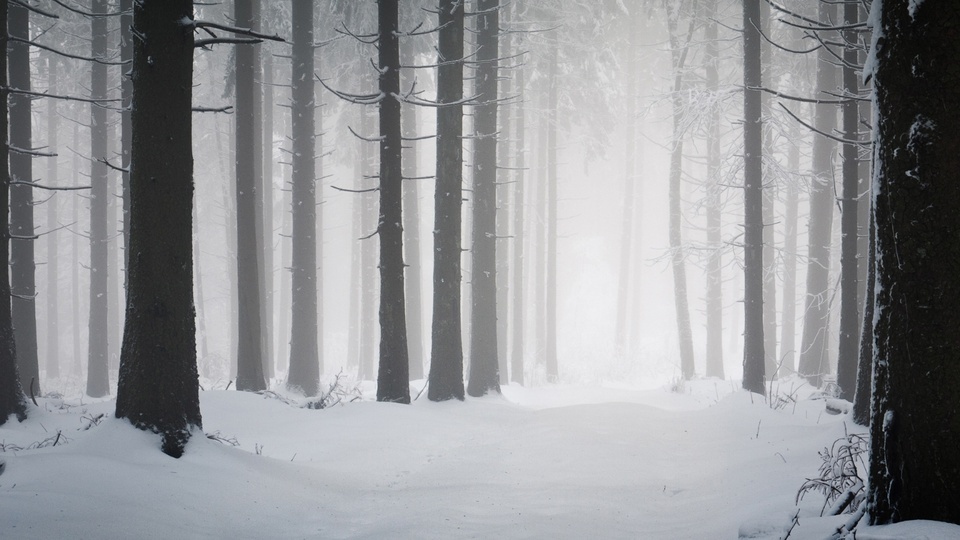 暴风雪