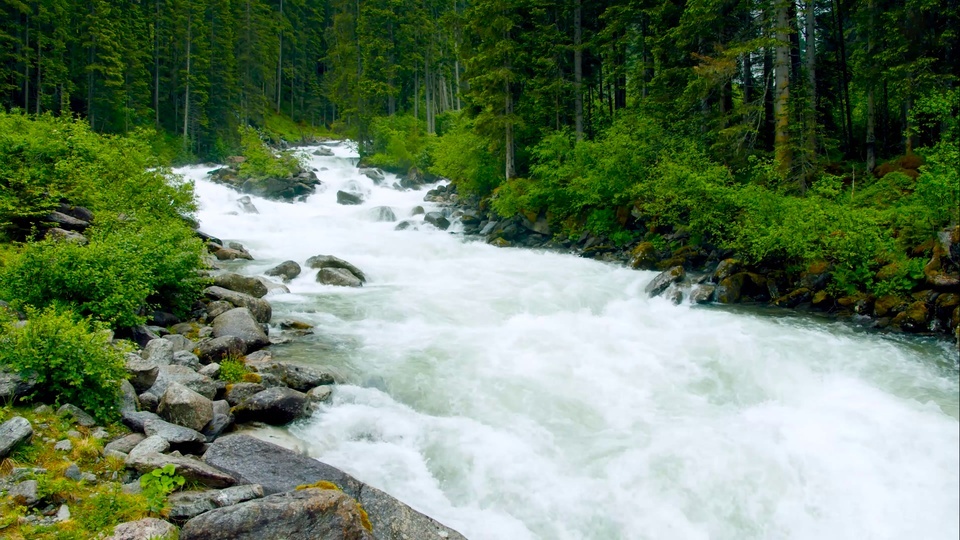 Forest water in slow motion