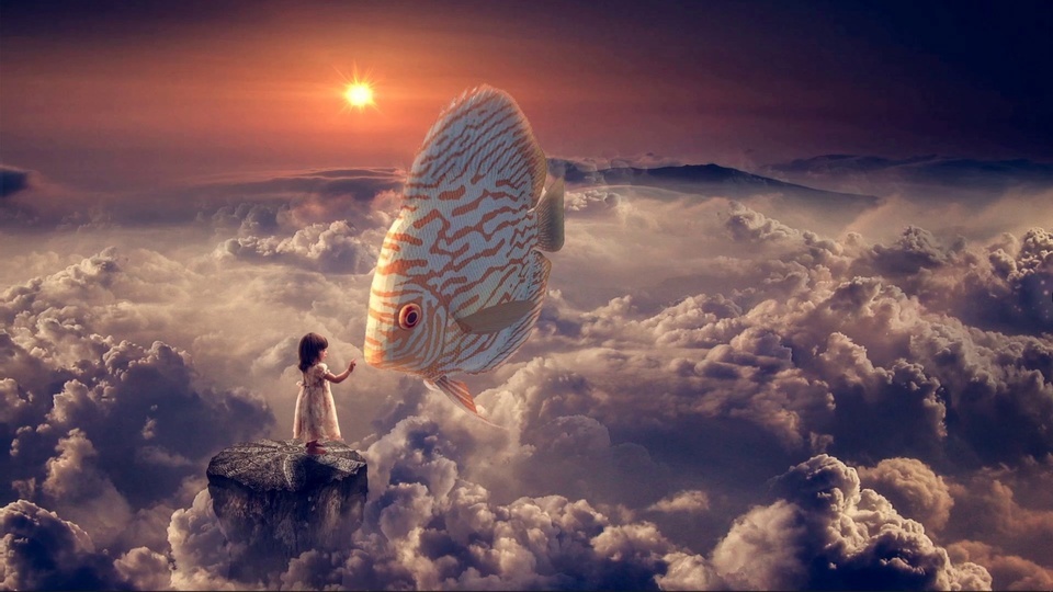 Fish and children on the sunset clouds