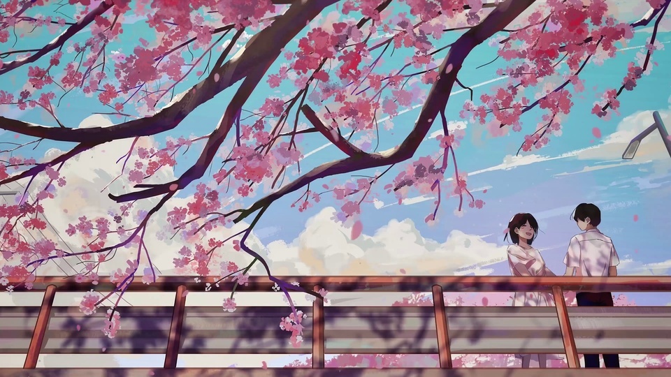 Love under the cherry blossoms 