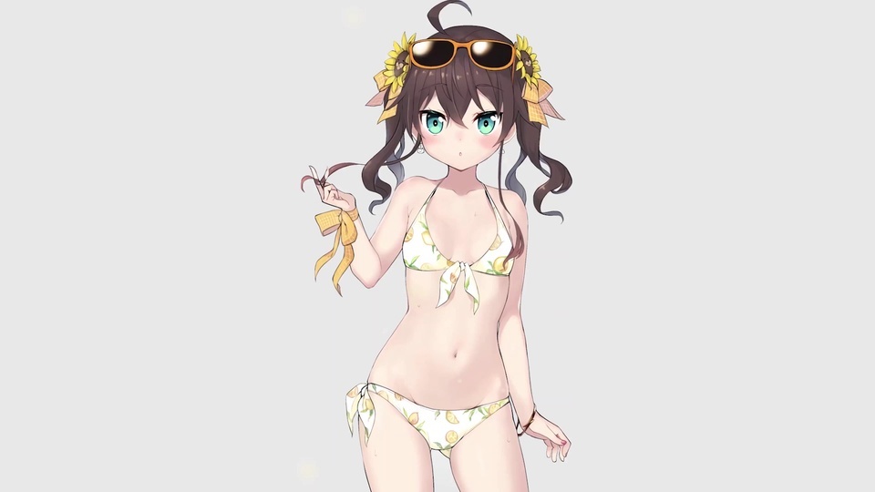 Swimsuit Summer Festival