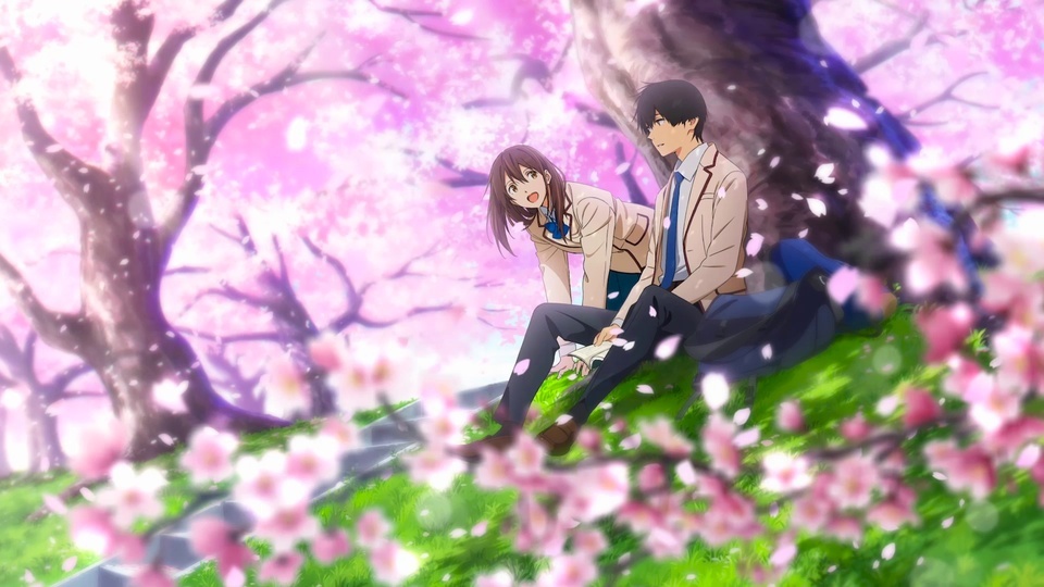 Beautiful moments under the cherry blossom tree