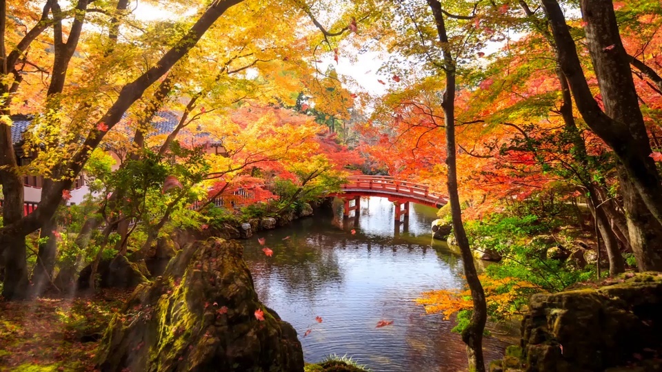 Autumn Park Bridge Flowing Water