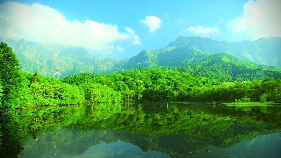 护眼绿色系湖面