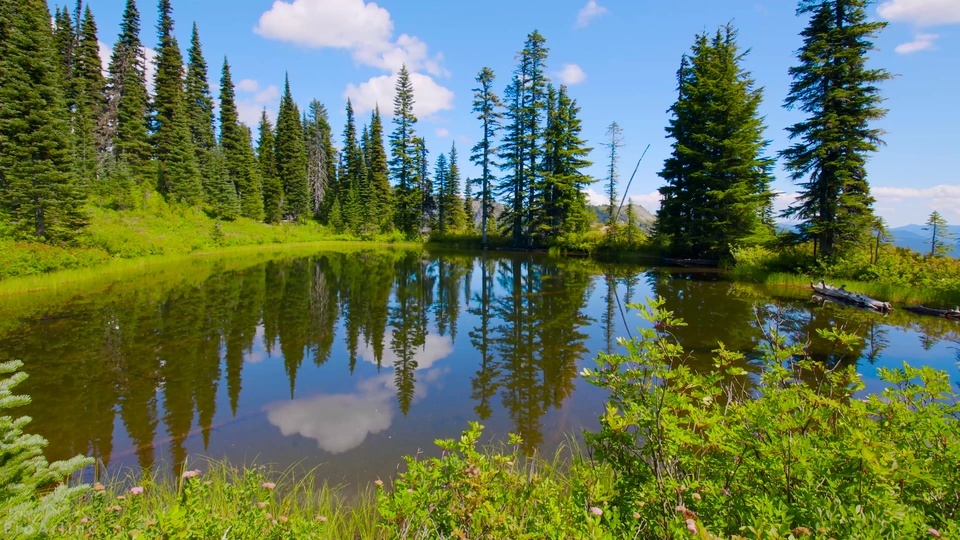 Lvlin mountain stream pool water