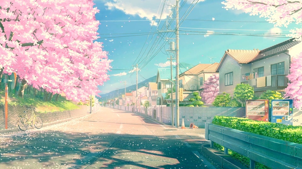 Sakura Street, Japan