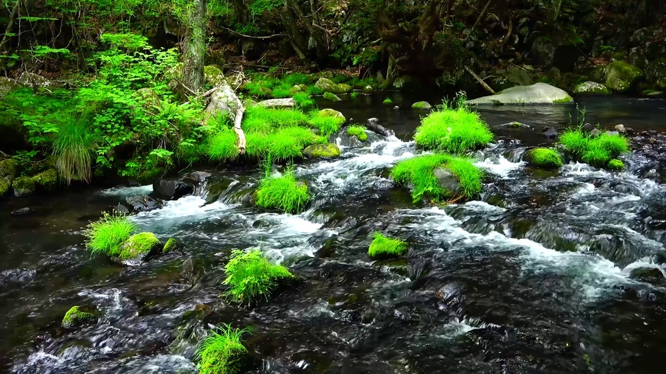 Nature's clear stream water