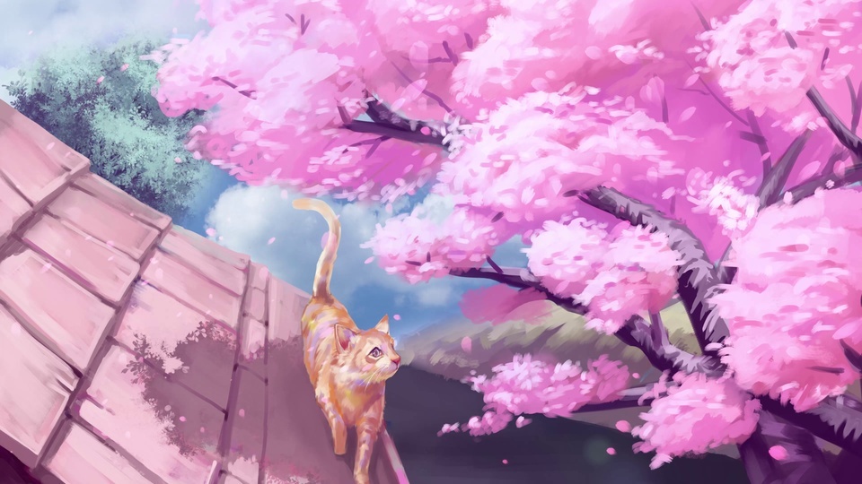 Beautiful Cat Cherry Blossom