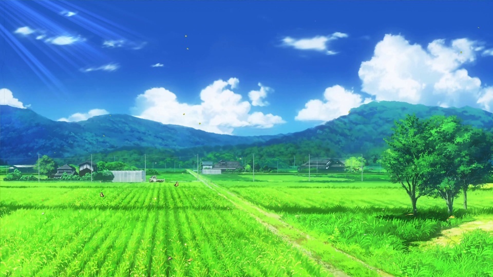 4k Field Scenery