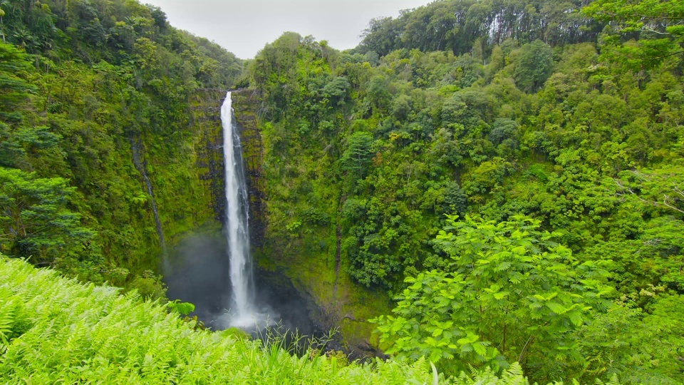 Green Forest Canyon Waterfall