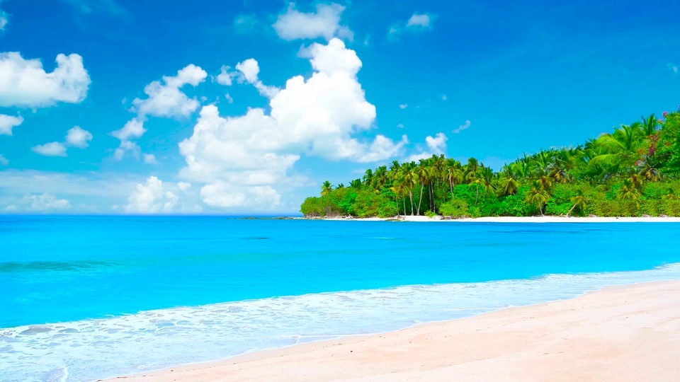 Blue Ocean and Blue Sky Coconut Island