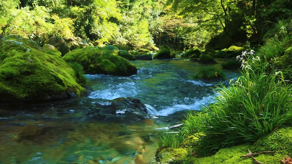 美丽小溪水