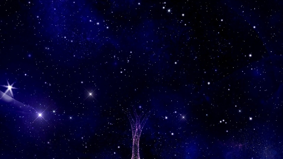 Under the starry sky tree