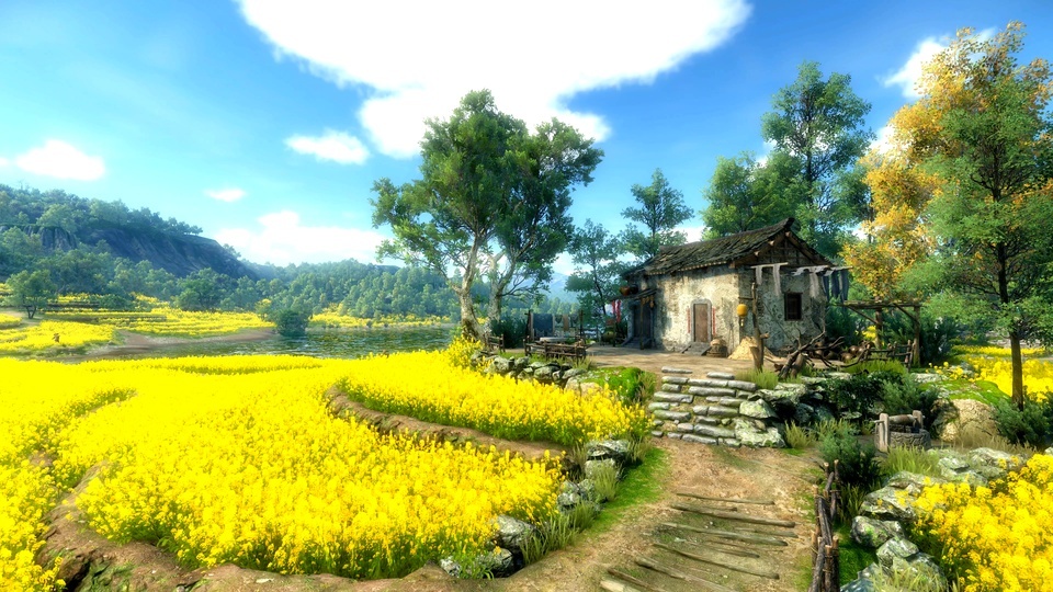 4k rural scenery