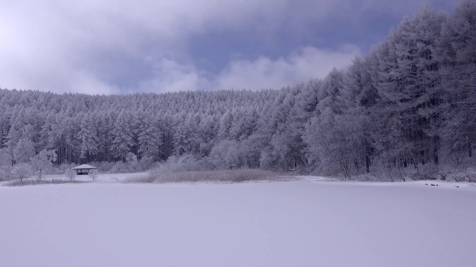 雪