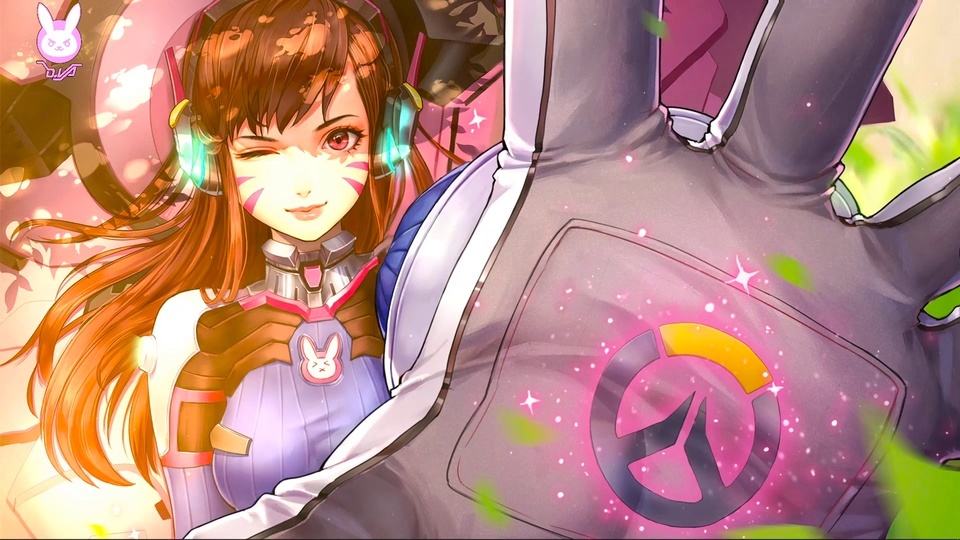 D.va