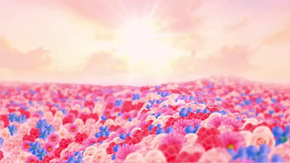 The most beautiful flower sea