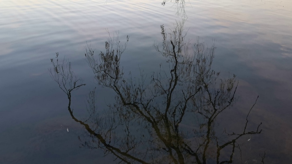 Reflexão do lago