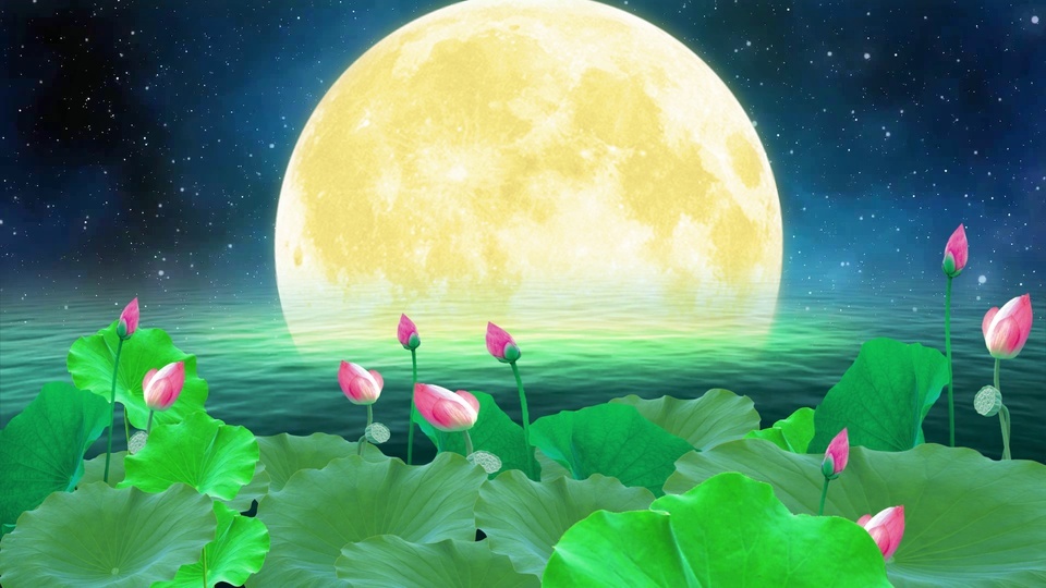 Beautiful Lotus Pond Moonlight