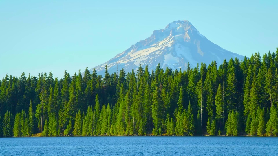 Alpine forest lake