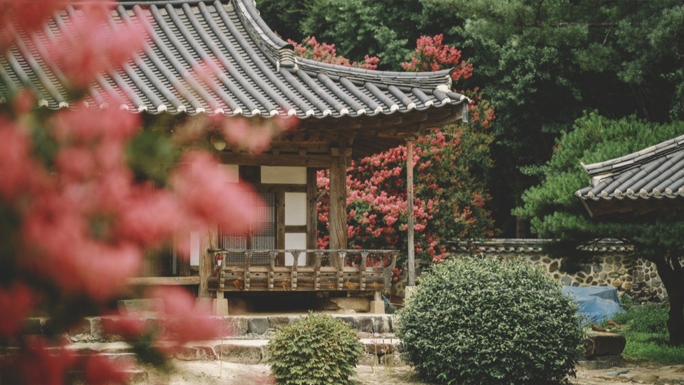 繁花盛景