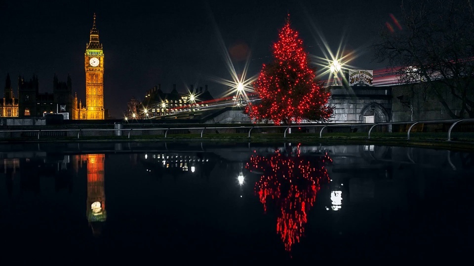 Vista noturna da árvore de natal