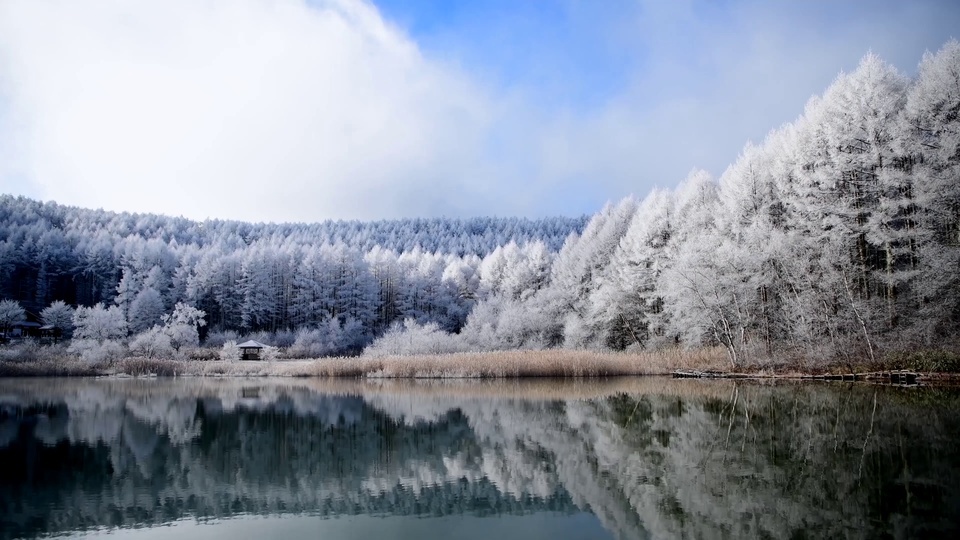 Lago de Invierno