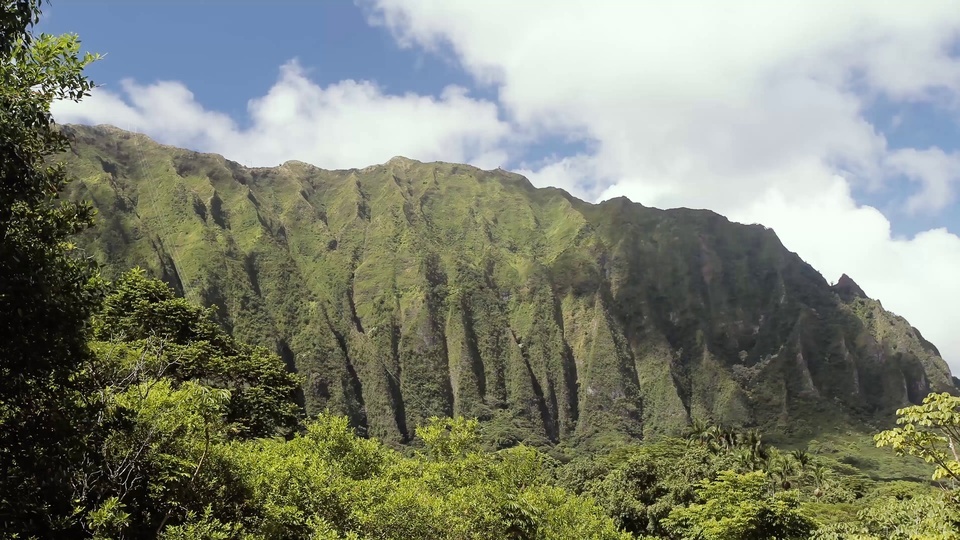 Des arbres verts et des nuages blancs