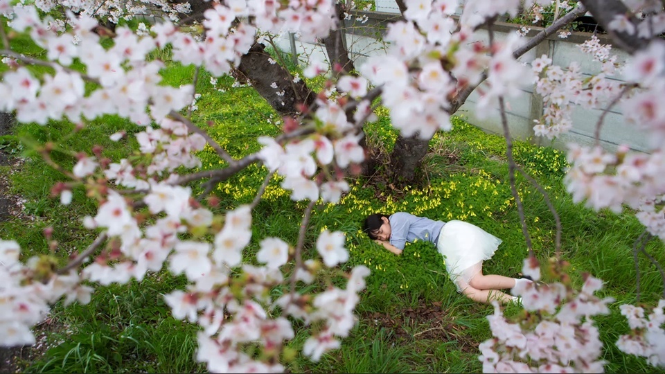  美女在草坪上睡觉