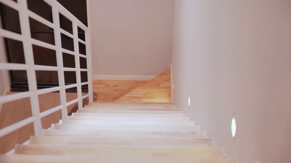 Kitten climbing stairs