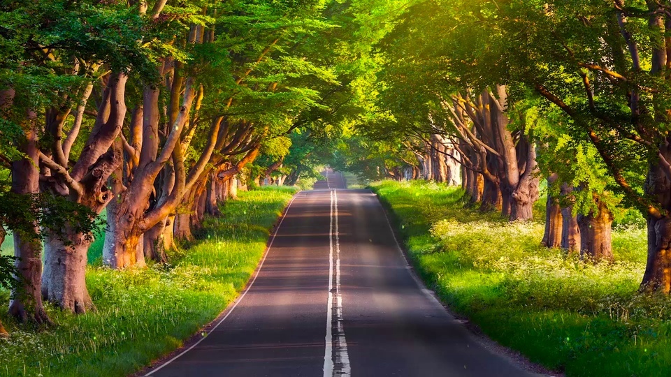 Beautiful and quiet road