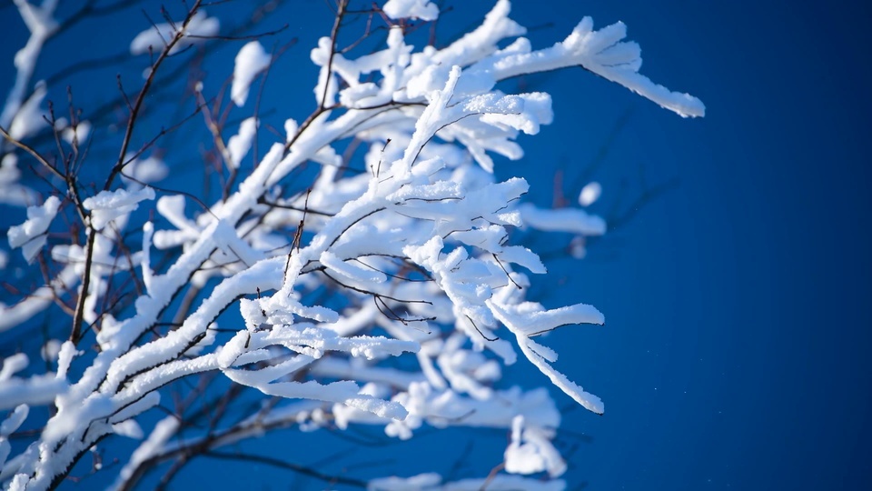 Beautiful rime