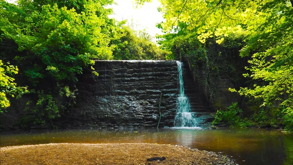 Green leaf mountain stream