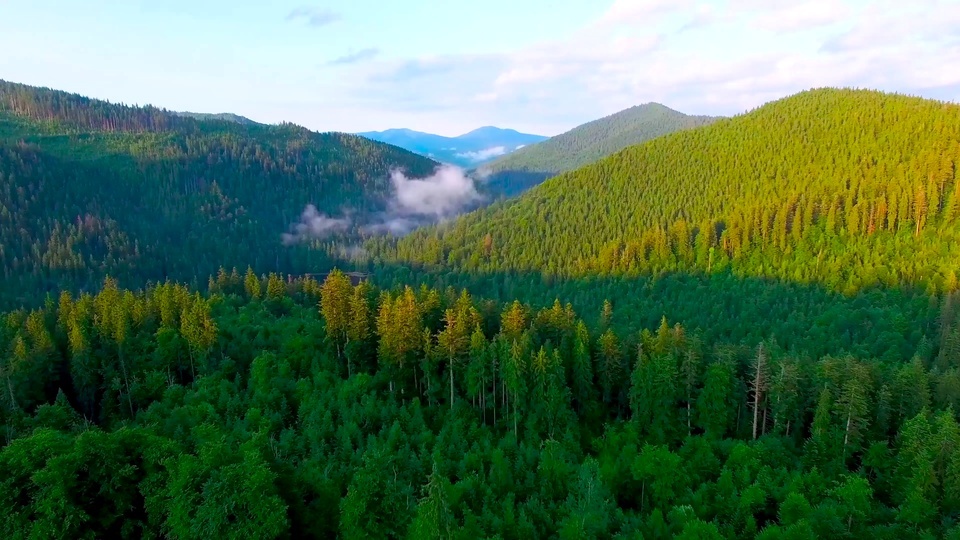 Recomendação de floresta aérea