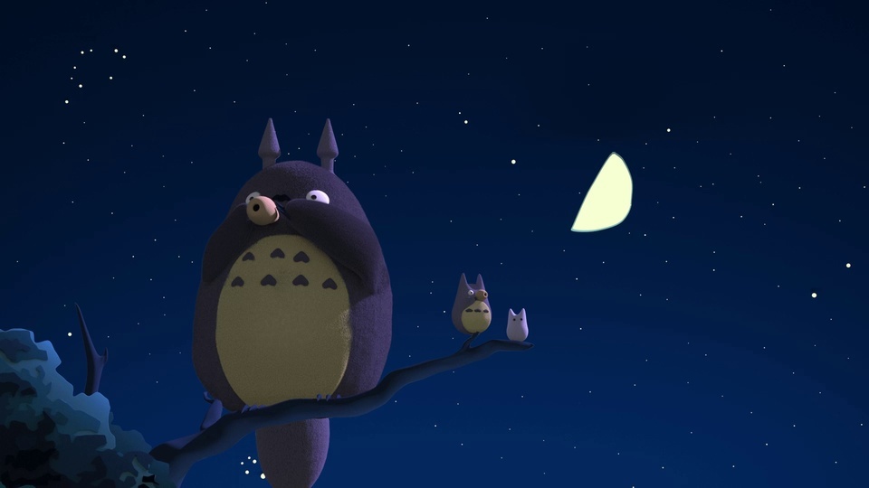 Totoro Under the Stars