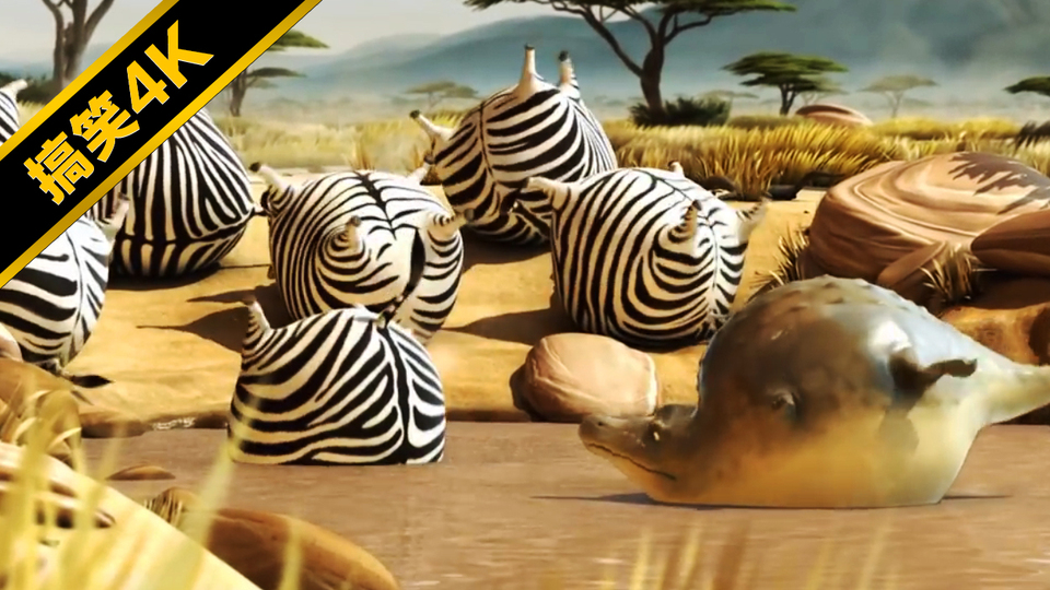 Zebras bebem água ~ (Versão da bomba Q super gorda)