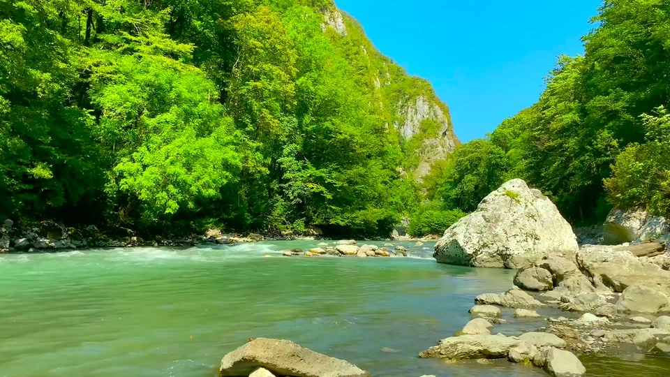 绿林河流