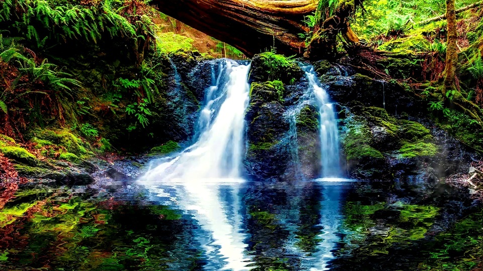 唯美溪流 风景