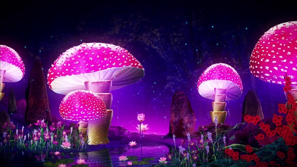 Dream Forest Mushroom