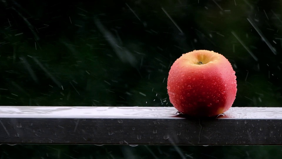 雨果