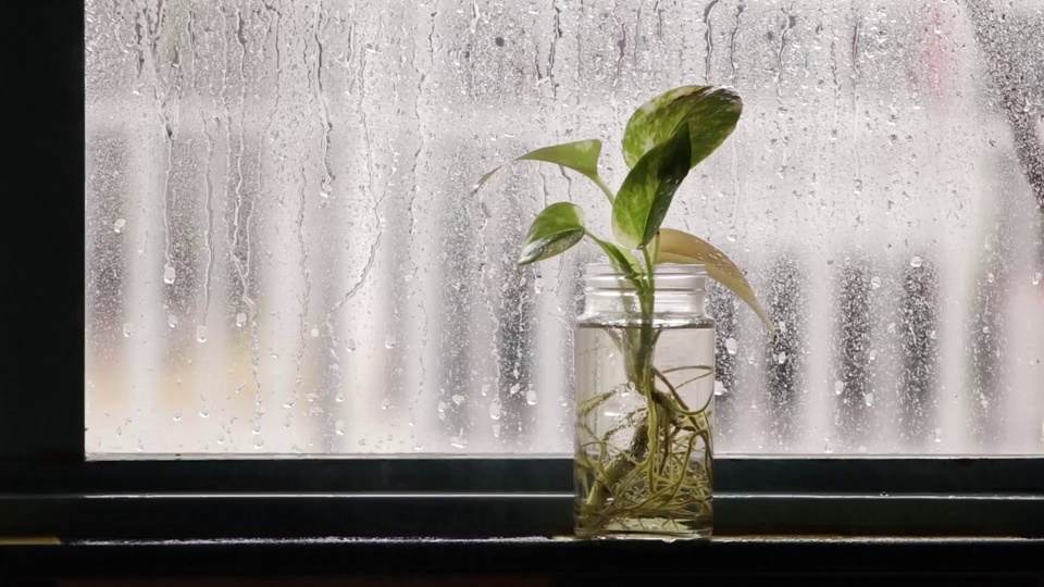 Vista de ventana de lluvia