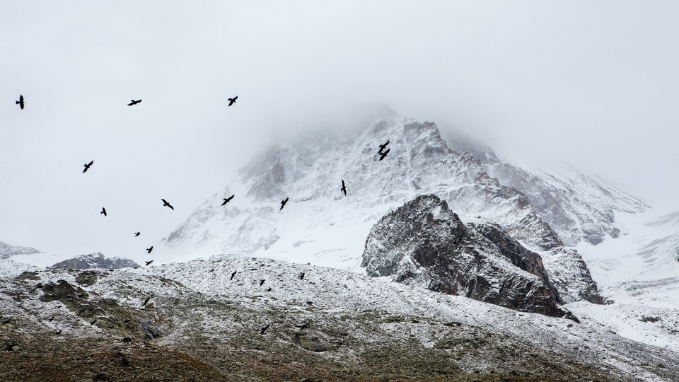 Nieve al comienzo del sol