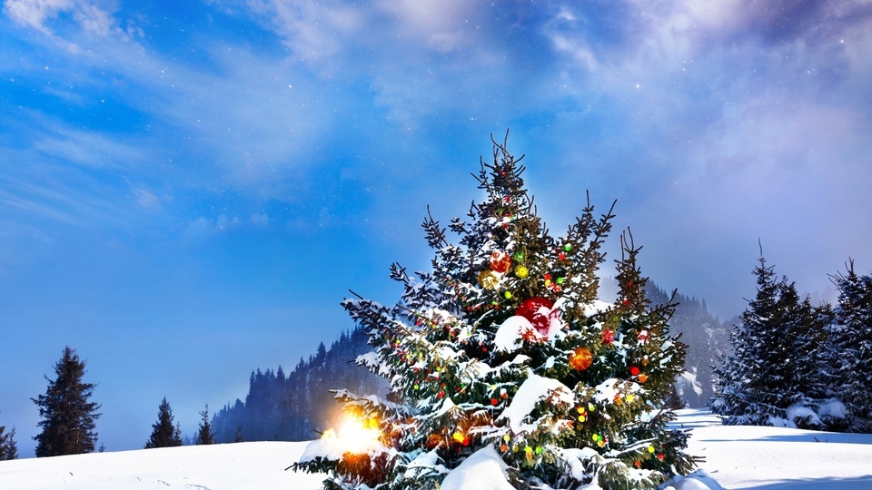 Christmas tree on a snowy mountain